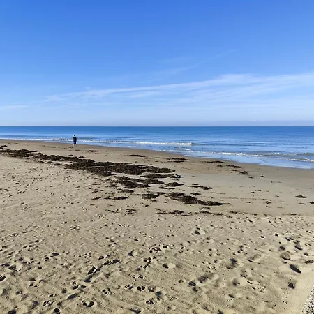 Le Goeland Séjour chez l'habitant Créances