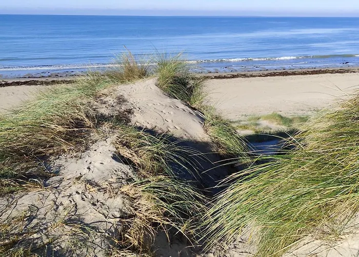 Le Goeland Проживание в семье